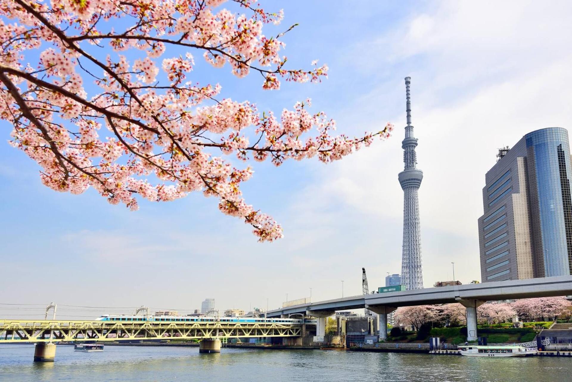 Honeys Guest House Tokio Zewnętrze zdjęcie